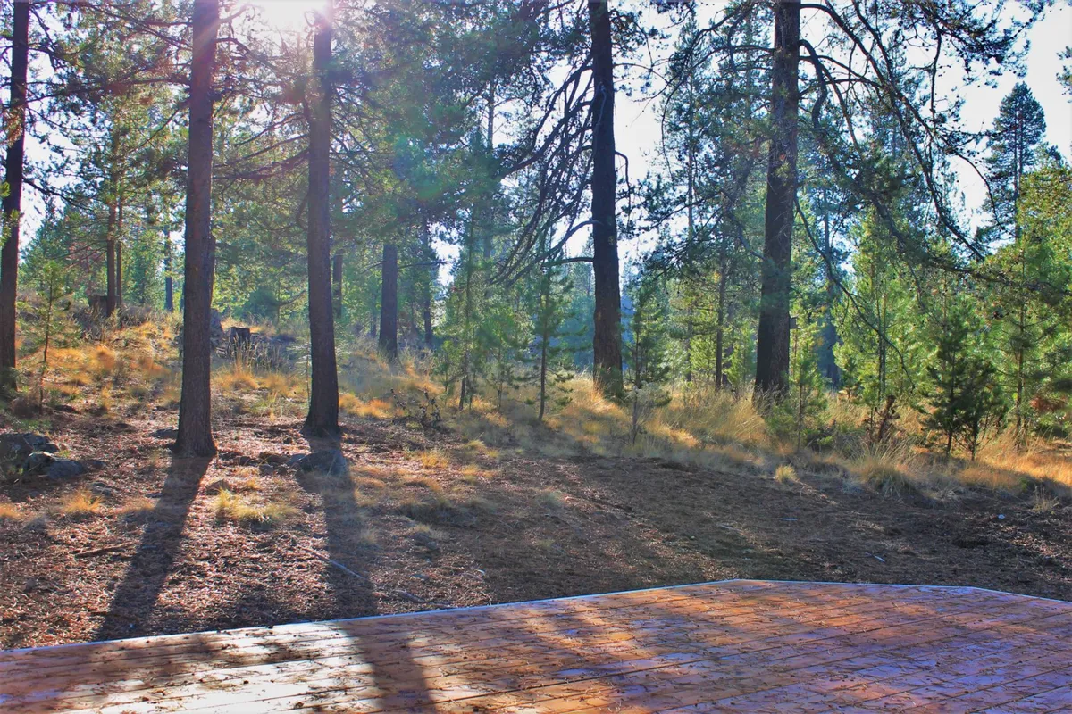 This exterior image features tall trees surrounding a wooden deck, with sunlight filtering through the branches. The natural setting exudes tranquility and highlights the forested environment that guests can explore just steps from the home.